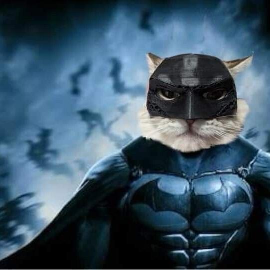 Batman Cat Mask 3D Printed Flexible Material - Perfect for Cosplay and Parties Accessories