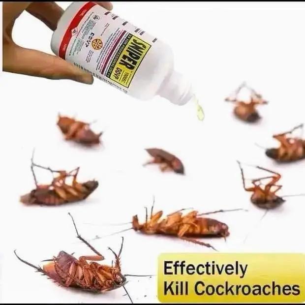 The Sniper for Roaches - Safe Home Solution for Cockroaches