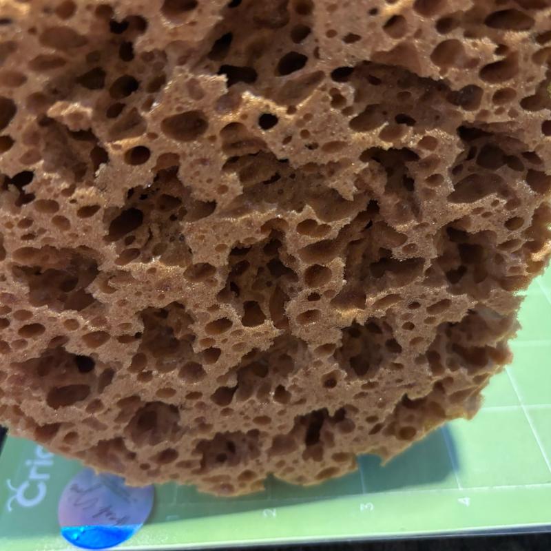 Natural Brown Honeycomb Sponge for Construction and More - Large Round Sponge