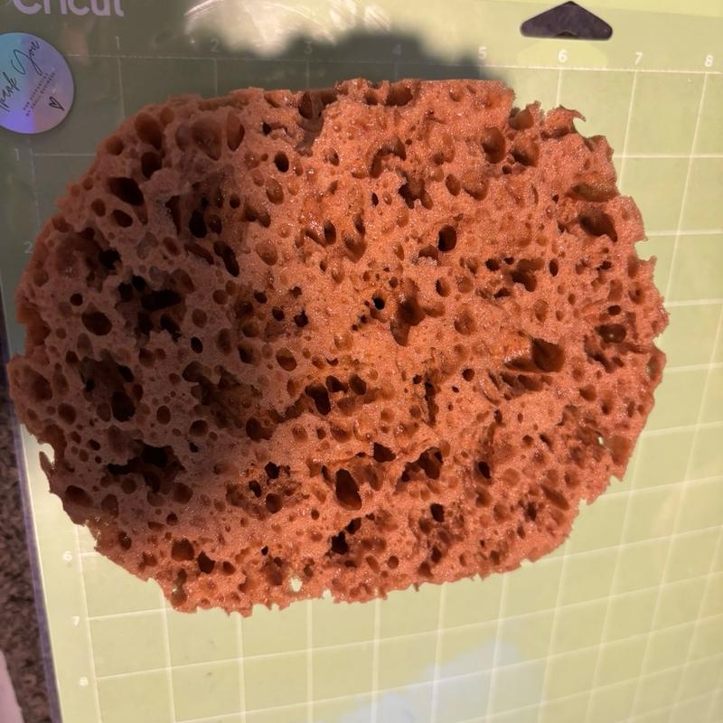 Natural Brown Honeycomb Sponge for Construction and More - Large Round Sponge