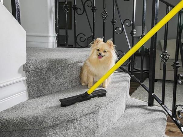 Original Indoor Pet Hair Rubber Broom with Carpet Rake and Squeegee, Black and Yellow