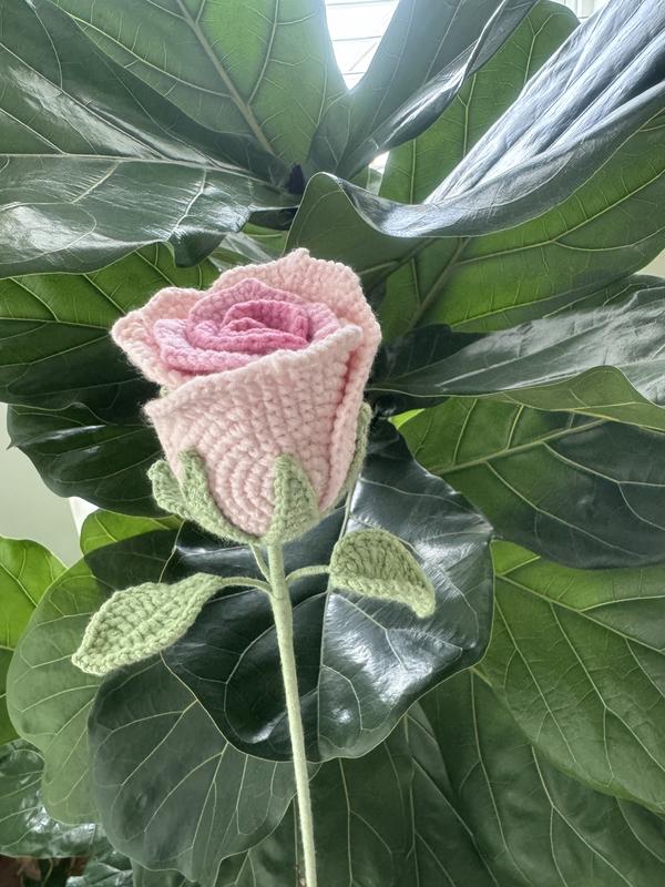 Crochet Rose and Flower Perfect for Birthday, Christmas, Graduation, Housewarming, and Marriage Proposals - Decorative Room Ornaments