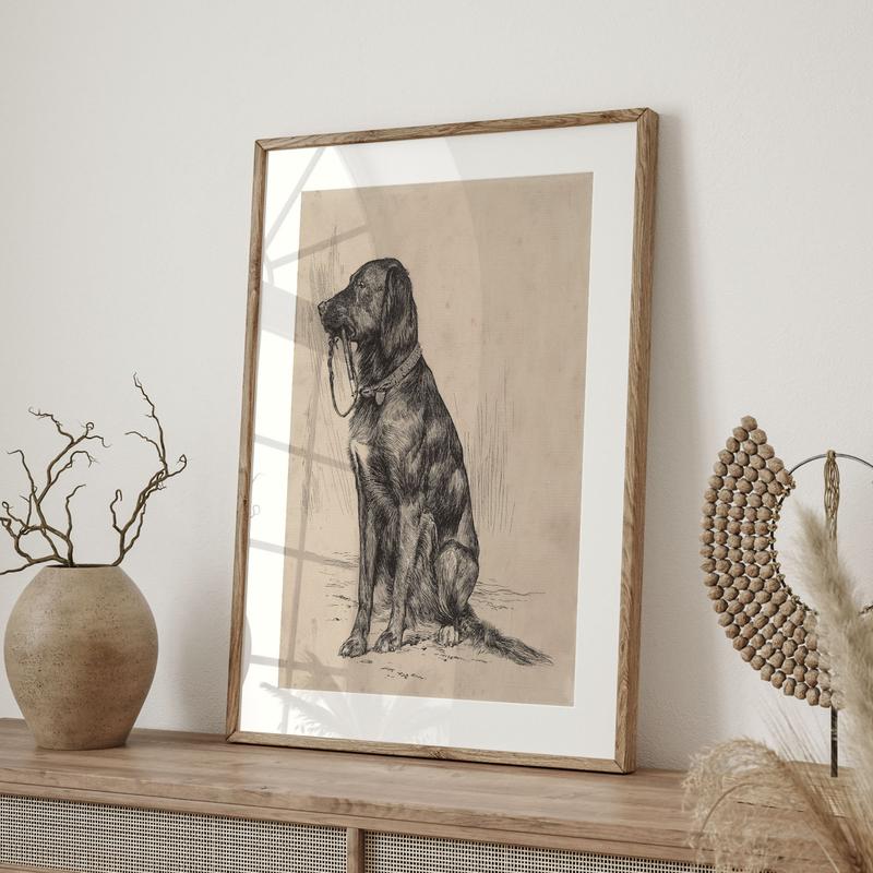 SoftSkills Vintage Black Labrador Art Print, Antique Dog Portrait, Rustic Farmhouse Decor, Labrador Retriever Sketch, Country Wall Art.