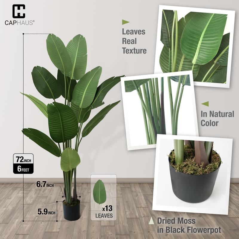 CAPHAUS Artificial Bird of Paradise, Premium UV Resistant Lifelike Fake Plant in Pot with Dried Moss for Office, Indoor Outdoor Use & Tropical Home Décor, Available Size in 4 ft., 5 ft., 6 ft. & 7 ft.