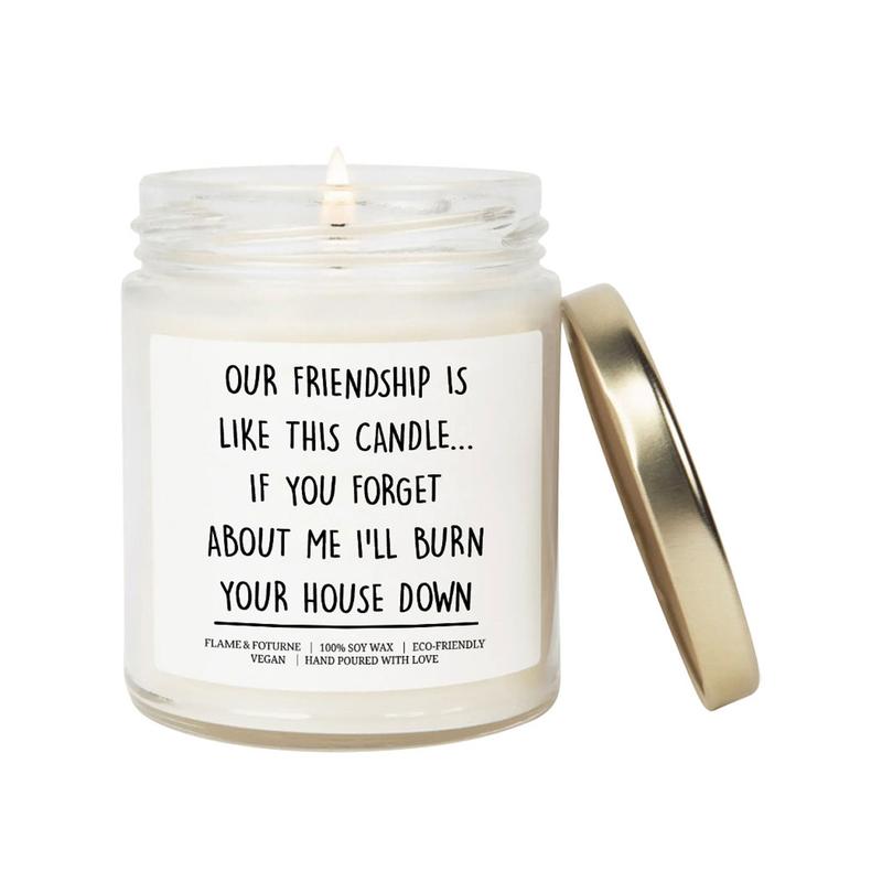 Funny Quote Candle For Friend | Christmas Gift for Friend Funny Candle | Birthday Gift Housewarming For Our Friendship is Like This Scent Candle Decor